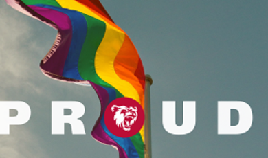 Flag photo with bear logo
